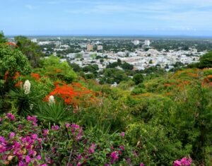 Ponce, Allison Murray, Unsplash.