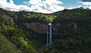 Cascada en el Bosque del Amazonas, Brasil, Renan Bomtempo, Pexels.
