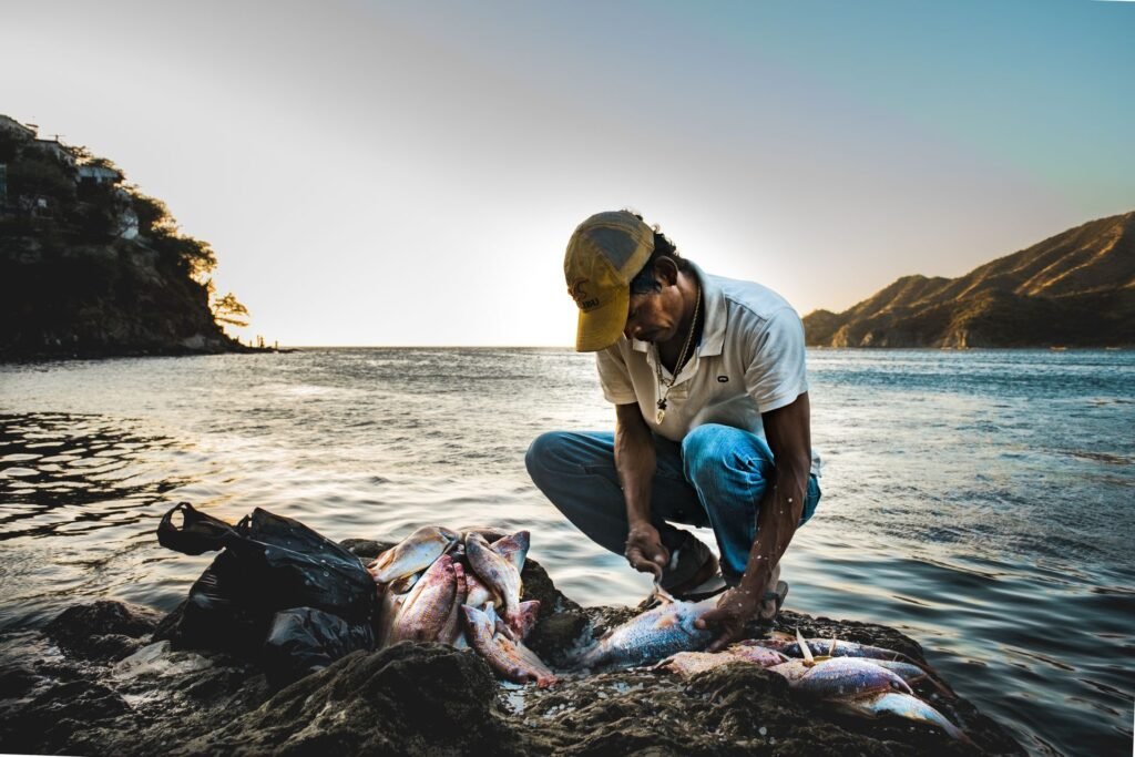 Hombre limpia pescados en la orilla de la playa en Taganga, Magdalena, Colombia. Foto: Sebastián Sánchez, Pexels.