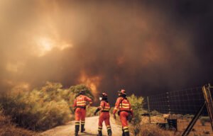 Fuegos forestales en España. Foto: Unidad Militar de Emergencias de España.